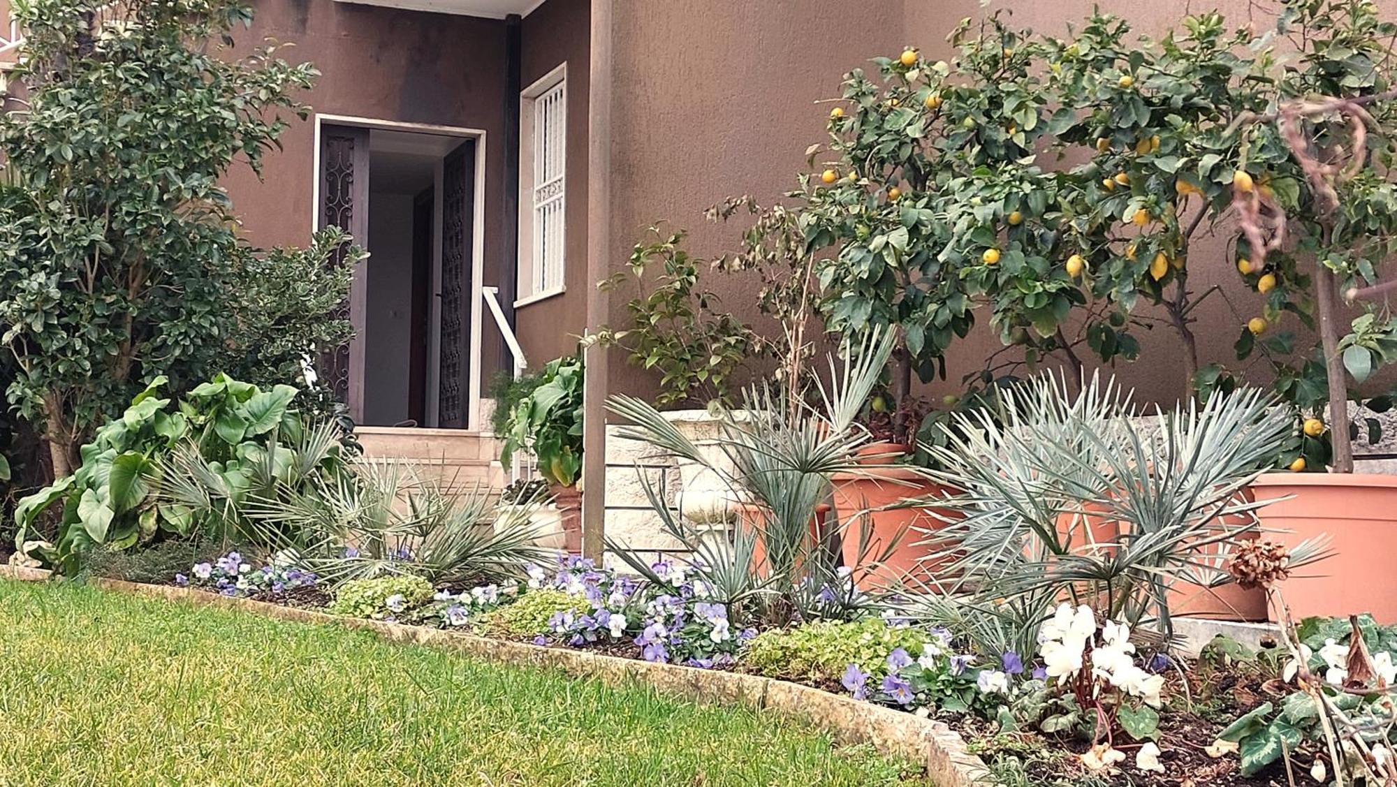 Betulla Lake View Apartment Lazise Bagian luar foto